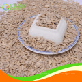 Bakery grade sunflower seeds kernel